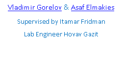 Text Box: Vladimir Gorelov & Asaf ElmakiesSupervised by Itamar FridmanLab Engineer Hovav Gazit