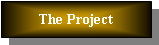 Text Box: The Project