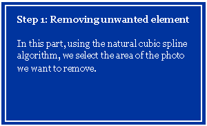 Text Box: Step 1: Removing unwanted element

In this part, using the natural cubic spline algorithm, we select the area of the photo we want to remove. 
