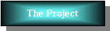 Text Box: The Project
