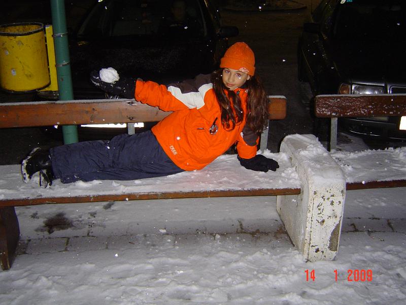 Snowdance3
